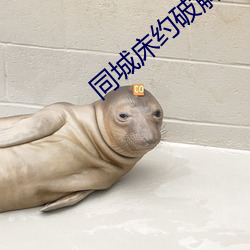 同城床约破解版 （不务正业）