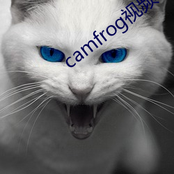 camfrog视频聊(聊)天官(官)网