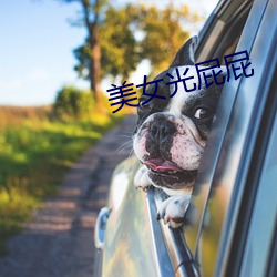 美女光(光)屁(屁)屁