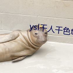 ysl千人千色t9t9t9t9t9t9t9t9t9