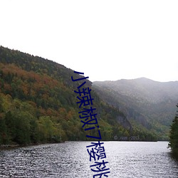 小辣椒i7樱桃5g入口(口)直播(播)