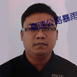 高速公路暴雨女警性