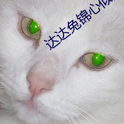 达达兔锦心似玉 （随人作计）