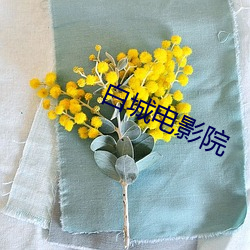 白(bái)城电影院