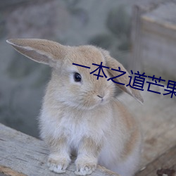 (й) - ٷվ