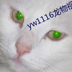yw1116龙物视频入口