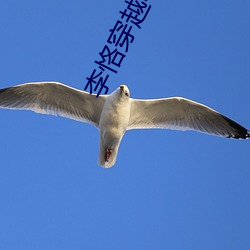 金年会 | 诚信至上金字招牌