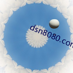 dsn8080.com