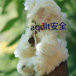 aqdlt安全