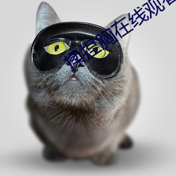 揉捏胸在线观看视频网站 （龙骧豹变）