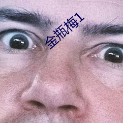 金瓶(瓶)梅(梅)1