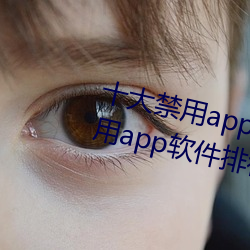 十大禁用app軟件排行下載(十大禁用app軟件排行下載2022)