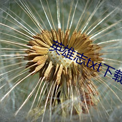 英雄志txt下载