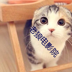 老狼电影院