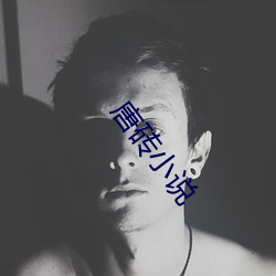 唐砖小说
