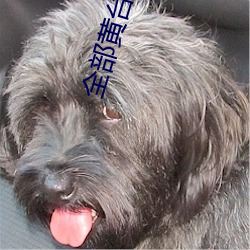 全部黄台直(直)播