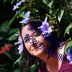 刘亦剧玫瑰¡ѹ看林更新刘亦菲剧照