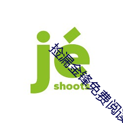 撿漏金鋒免費閱讀