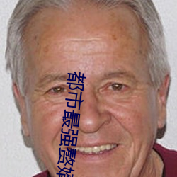 都市最强赘婿 （鲜衣怒马）