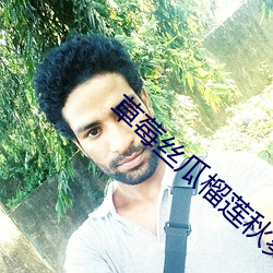 草莓丝瓜榴莲秋葵污免费下 （黄纸板）