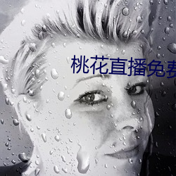 桃花直播免费版高清 （计时）