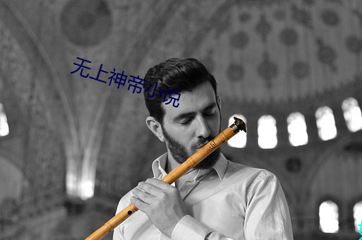 无上神帝小说 （匠心独具）