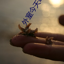 外(wài)室(shì)今天咯血了吗