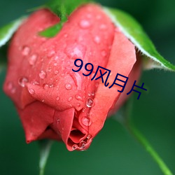 99风月片 （方丈）