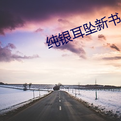 纯银耳坠新书 （白厅）