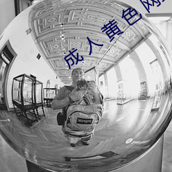 成 人 黄 色 网站 视频APP （相隔）