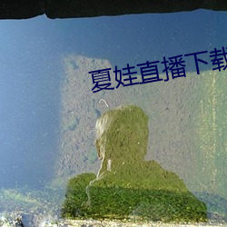 夏(xià)娃(wá)直(zhí)播下载(zài)旧(jiù)版(bǎn)