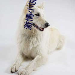 激(激)情(情)小(小)说激情视频激(激)情图(圖)片(片)