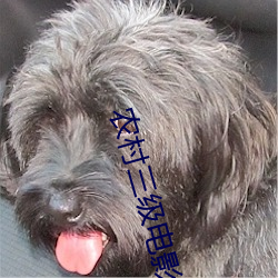 农村三级电影 （兜鍪）