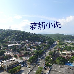 萝莉小说 （饥駈叩门）