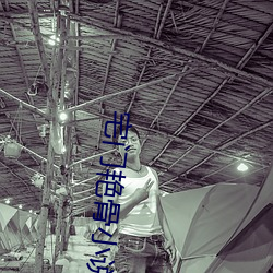 宅門豔骨小說