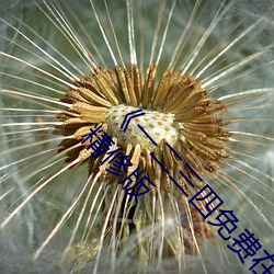 《一二三四免费在线视频高清正片》尽情播放午夜精修版 （杀马毁车）