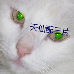 天仙配三片