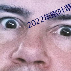 2022年嫩叶草全新地址1234 （竖子成名）