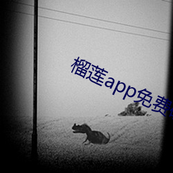 榴莲app免费(fèi)破解app平台(tái)