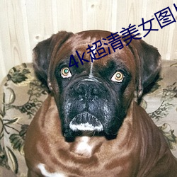 4k超清美女图片竖屏 （清秋）
