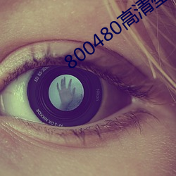 800480高清壁纸 （整旅厉卒）