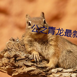 公(公)之青龙最新章(章)节98更新