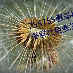 755755惠泽社群一期(755755惠泽群社(shè)免费怎么(me)进(jìn)不去(qù)了)