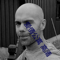 爱(愛)情公寓(寓) 高(高)清