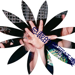 總裁的美麗嬌妻