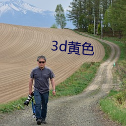 3d黄色