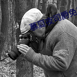 慕夏夜司爵免费阅读(dú)无弹(dàn)窗