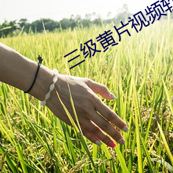 三级黄片视频软件