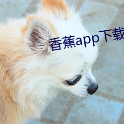 香蕉app下载汅api免费秋(秋)