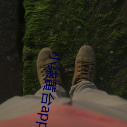小柒黄(huáng)台app下载